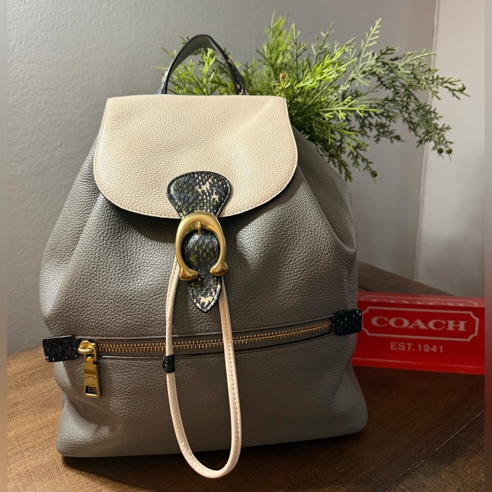 Coach Evie Colorblock Backpack with Snakeskin Detail